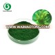 Food grade best spirulina powder with 65% protein