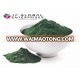 Pure Spirulina Health Supplement