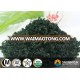 ISO/Kosher/Halal certificated wholesale low heavy metals China feed grade Spirulina powder for animal