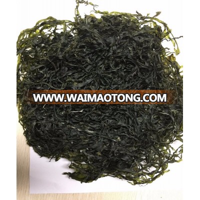 Dried Seaweed Sublimated Kelp/Kombu in Bulk