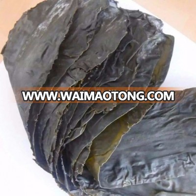 Hot Sale Dried Edible Seaweed Dried Kombu