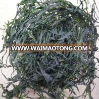 High quality dried sea kelp with better price