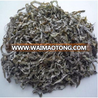 Natural Sun Dried Kelp Slice Manufacturer Supplier in Fujian China