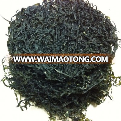 Dried Sea Kelp(Kale)/Laminaria Seaweed for Seaweed Salad Canning