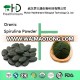 High quality organic certified Spirulina Powder