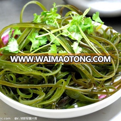 Taiwan Strait chopped kelp,dried kelp cut,seaweed salad