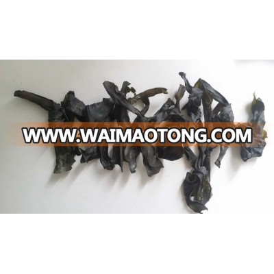 Dried Kelp Knot,Highest Grade Kelp Seaweed,Dry Kelp Knot