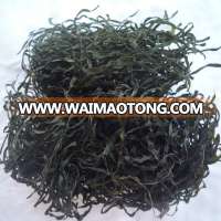 2018 China newly machine dried kelp cut